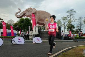 BIB: 
                            <button type="button" onclick="openModal(26528499)" class="btn btn-primary btn-sm float-right btn-popup" data-toggle="modal" data-target=".modal-high-quality">
                        <i class="fas fa-shopping-cart"></i> Add to Cart
                    </button>
                                            <button type="button" onclick="isThisMe(26528499, true)" class="btn btn-success btn-sm float-right btn-popup btn-isme hidden" data-toggle="tooltip" data-placement="bottom" title="นี่คือรูปของคุณใช่ไหม คลิกที่นี่เพื่อเอาเข้าอัลบั้ม">
                        <i class="fas fa-plus"></i> Add to album
                    </button>
                    <button type="button" onclick="isThisMe(26528499, false)" class="btn btn-warning btn-sm float-right btn-popup btn-isnotme hidden">
                        <i class="fas fa-ban"></i> Remove from album
                    </button>